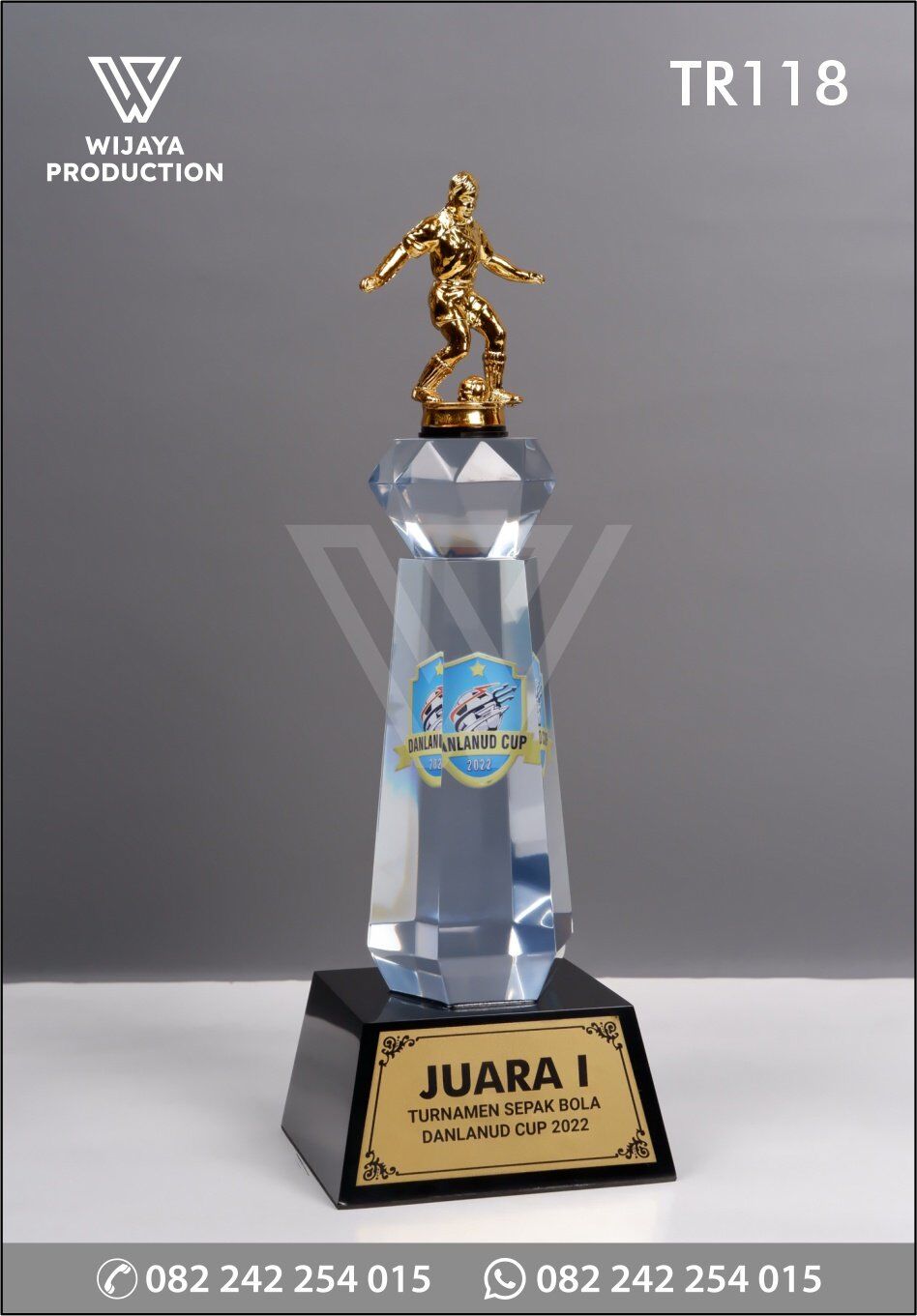 Piala Juara Turnamen Sepak Bola Danlanud Cup 2022